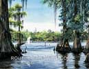 Louisiana Swamp and Egret Watercolor