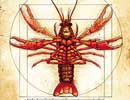 Da Vinci Vitruvian Man Crawfish Watercolor