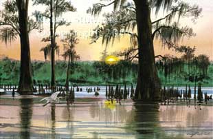 Swamp Egret Sunset Watercolor